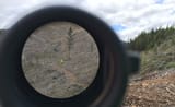 ACOG_quartermile