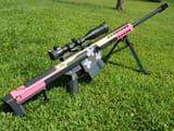 My Little Arsenal - Fluttershy Barrett .50