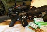 My Little Arsenal - New Lunar Republic AR-15 (standard-issue service rifle) 2