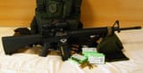 My Little Arsenal - New Lunar Republic AR-15 (standard-issue service rifle) 3