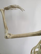 34159