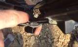 ar-15-jammed-by-bee