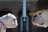 Chesty XIII and XIV