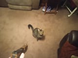 IMG_20250701_012243435