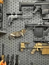 Iz a gun on ur gunrack