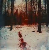 bleed-out-in-the-slow