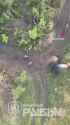 _ukrainian_drone_drops_grenade_on_russian-bike_thumb.jpg