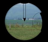 1P29Reticule