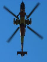 Tigre_vuelo