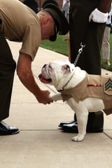 Chesty XIII promotion ceremony