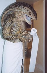 reptilian1