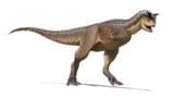 Carnotaurus_Reconstruction_2022