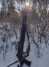 shotgun