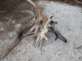 Vityaz_log