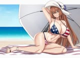 springfield4