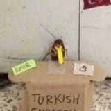 Turkish embassy