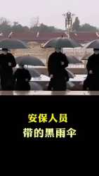 security umbrella _thumb.jpg