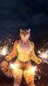 sparklercat_thumb.jpg