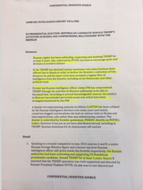 Screenshot 2025-07-04 at 18-52-58 Trump-Intelligence-Allegations.pdf