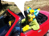 cat_is_a_faggot