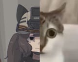 GfuU_HxbsAAHSNf