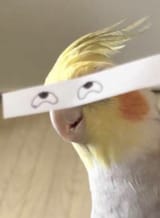 7VEvk3a