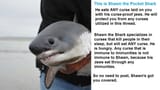 shark