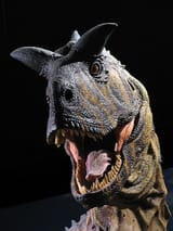 carnotaurus