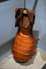 NZF_1878