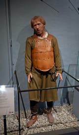 NZF_1865