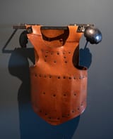NZF_2241