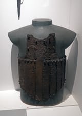 NZF_1882