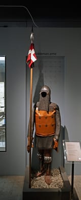 NZF_1876