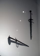 NZF_1895