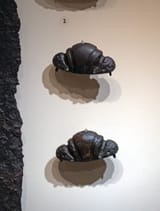 NZF_2304