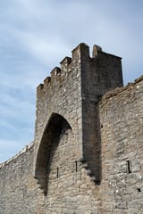 NZF_1764