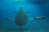 POV: You are a whale in the South Atlantic in 1982