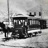 MuleDrawn1870s