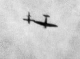 v1