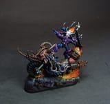 Doomridermini