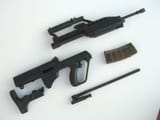 SAR-21 internals