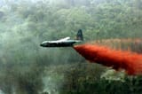 agent-orange