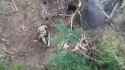 Russian FPV bonks Ukie but fails to detonate_thumb.jpg