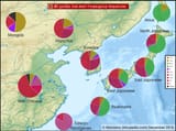 East Asian Y haplgroups