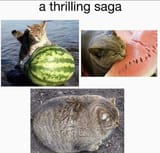 1620114876707