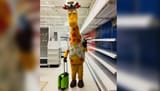 Geoffrey 