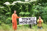 32049689_web1_230323-SNM-Giant-Hogweed-PHOTO_1