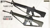 T65 variants