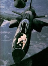 thudnoseart