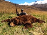 qh_hunt_3584_alaska_peninsula_brown_bear03
